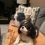 Sharon Kohn Jacobs - @snaronj1 - Instagram