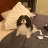 sharonkohnjacobs - @sharonkohnjacobs - TikTok