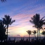 Sharon Koster - @sharon.koster - Instagram