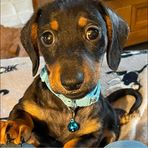 Sharon Koster - Facebook