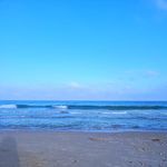 Sharon Koster - @86.9043 - Instagram