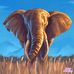 Sharon Koziol - Facebook