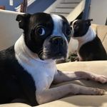 Sharon Beck Krall - @sharonkrall - Instagram