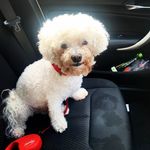 Sharon Krelle - @sharonlouisekrelle - Instagram