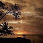 Kiran Maibaum - @sharonkrueger243 - Instagram