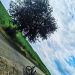 Sharon Krueger - @sackularcus - Instagram