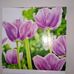 Sharon Krueger - Facebook