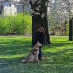 Sharon Kuipers - @sharon.kuipers - Instagram