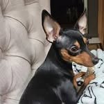 Sharon Kumpel Rhone - @rhones09 - Instagram