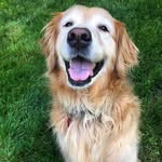 Sharon Kumpf - @sharibethk - Instagram