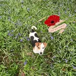 Sharon Lacey - @sharondichello18 - Instagram