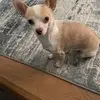 Sharon Lacey - @user624532695904 - TikTok