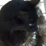 Sharon LaDuke - @sharon.laduke - Instagram