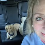 Sharon LaFever - @lafevers333 - Instagram