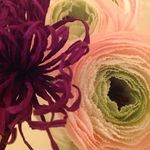 Sharon Lafferty - @structurally.inaccurate - Instagram