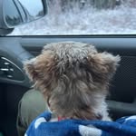 Sharon Lafferty - @sharon.lafferty.35 - Instagram