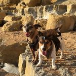 Sharon Lafferty - @lafferty4156 - Instagram