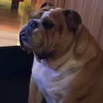 Sharon Lamont - @lamont.sharon - Instagram