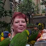 Sharon Landman - @landmansharon - Instagram