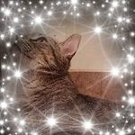 Sharon Lanier - @sharon.lanier.315 - Instagram
