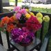 Sharon Lapointe - Facebook