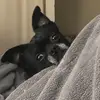 sharon larochelle - @sharon.larochelle - TikTok