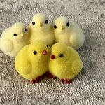Sharon Larrimore - @larrimoresharon - Instagram