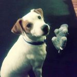 Sharon Latella Pritchard - @wslava86 - Instagram
