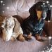 Sharon Lathrop - Facebook