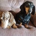 Sharon Lathrop - @lathrop.sharon - Instagram
