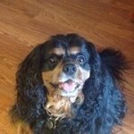 Sharon Lathrop - @wisemaxie - Instagram
