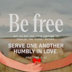 Sharon Lattimore - @sharonlattimore - Instagram