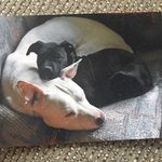 Sharon Laughlin - @countrygirlskl - Instagram