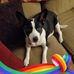 Sharon Laughlin - Facebook