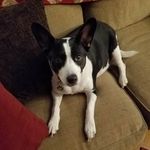 Sharon Laughlin - @laughlin137 - Instagram