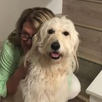 Sharon Laughlin Galeano - @sharonjgaleano - Instagram