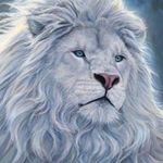 MOSHE SHARON LAWLESS - @moshesharonlaw - Instagram