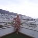 Sharon Lawless - Facebook