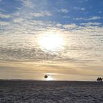 Sharon Lawless - @sharon_lawless - Instagram