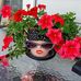 Sharon Knight Lawlor - Facebook