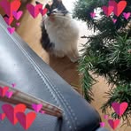 Sharon Layton - Facebook
