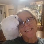 Sharon Lear - @74patchouli - Instagram