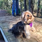 Sharon Leath Levi - Facebook