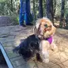 Sharon Leath Levi - @sharon.leath.levi - TikTok