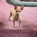 Sharon LeCompte - Facebook