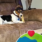 Sharon Leger - @sharon_leger - Instagram