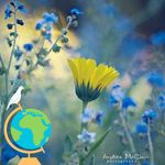 Sharon Lehmann - @lehma006 - Instagram
