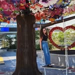 שרון ליבוביץ - @sharon_leibowitz1 - Instagram