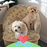 Sharon Leib - @sharon.leib.3 - Instagram