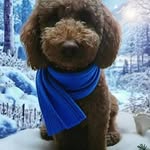 Sharon Leibeck - @sharonleibeck - Instagram